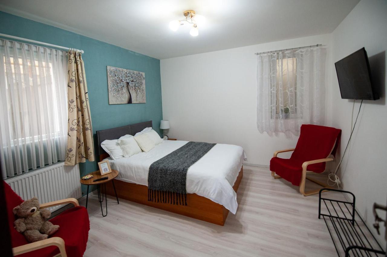 1 Freidorf Apartment Тімішоара Екстер'єр фото