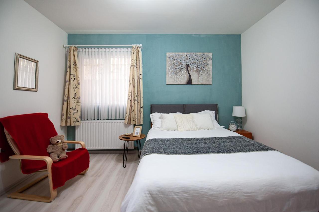 1 Freidorf Apartment Тімішоара Екстер'єр фото